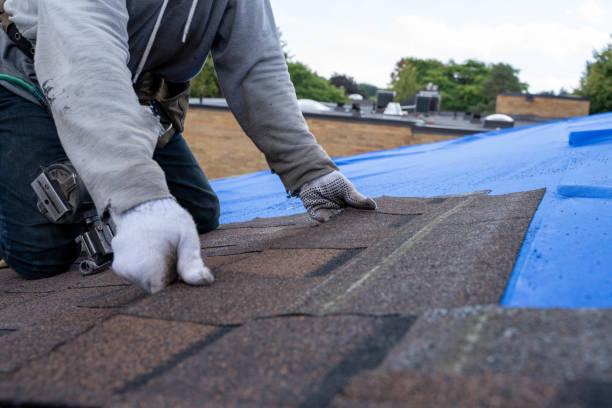 Best Roof Waterproofing Services  in Horse Cave, KY