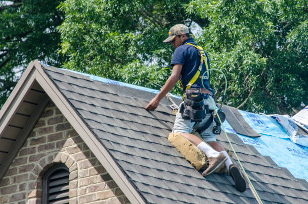 Best Residential Roof Replacement  in Horse Cave, KY